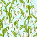 Seamless vector pattern with spring snowdrops on a blue background.