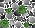 Seamless vector pattern succulents and stones Royalty Free Stock Photo