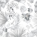 Seamless vector pattern of tropical jungle silver palm tree leaves