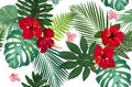 Seamless vector pattern tropical leaves with red hibiscus flower and pink orchid Royalty Free Stock Photo