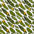 Seamless vector pattern with various leaves and ladybird.