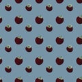 Seamless vector pattern with whole mangosteen fruits on a blue background Royalty Free Stock Photo