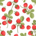 Seamless vector pattern wild strawberries on white background