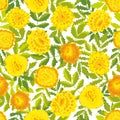 Seamless vector pattern with yellow marigold flowers