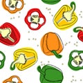 Seamless vector of red, yellow and green peppers. Hand drawing of bulgarian sweet peppers, paprika, peppercorns. Vector illustrati