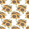 Seamless vector rural pattern with bouquets of sunflowers on a white background. Rustic floral texture Royalty Free Stock Photo