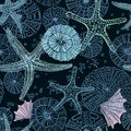 Seamless vector sea pattern. Seashell, various seashells, starfish