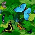 Seamless vector south american tropical rainforest jungle background with butterflies