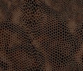 Seamless vector structured snake skin