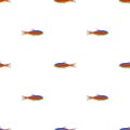 Seamless vector symmetrical pattern with colorful fishes on the white background