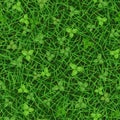 Seamless vector texture of green grass with clover leaves Royalty Free Stock Photo