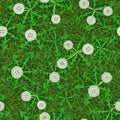 Seamless vector texture of green grass with fluffy dandelions