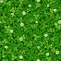 Seamless vector texture of a green lawn with white flowers of a clover