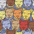 Seamless vector texture with multi-colored faces of pit bulls or amstaffs Royalty Free Stock Photo