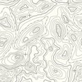 Seamless Vector Topographic Map Pattern. Contour topographic seamless vector map