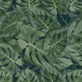 Seamless vector Tropical leaf pattern. Green