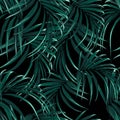 Seamless vector tropical pattern with dark green palm leaves on black background. Royalty Free Stock Photo