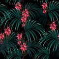 Seamless vector tropical pattern with dark palm leaves and tropical protea flowers on black background. Royalty Free Stock Photo