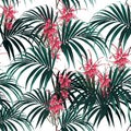 Seamless vector tropical pattern with dark palm leaves and tropical protea flowers on white background. Royalty Free Stock Photo