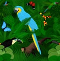Seamless vector tropical rainforest Jungle background with animals