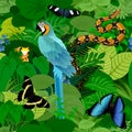 Seamless vector tropical rainforest Jungle background with ara makaw parrot, python and butterflies Royalty Free Stock Photo