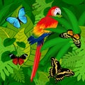 Seamless vector tropical rainforest Jungle background with parrot and butterflies Royalty Free Stock Photo