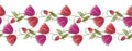 Seamless vector tulip flower border on white background