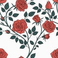 Seamless vector wallpaper pattern of flowers. Roses partition background. Royalty Free Stock Photo