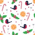 Seamless vector winter cute pattern with different bright holiday elements