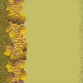 Seamless vertical grape pattern