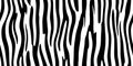 Seamless vertical zebra skin or tiger stripe pattern Royalty Free Stock Photo