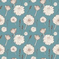 Seamless vintage blue floral pattern with white aster Royalty Free Stock Photo