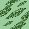 Tropical banana green leaves seamless pattern pink background. Exotic wallpaper. Royalty Free Stock Photo