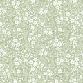 Seamless vintage floral pattern. Royalty Free Stock Photo