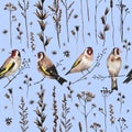 Seamless vintage pattern in border style with goldfinch birds and autumn dry plants and flowers. Watercolor painting