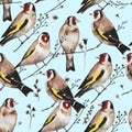 Seamless vintage pattern with goldfinch birds sitting on dry branches. Watercolor painting