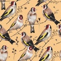 Seamless vintage pattern with goldfinch birds sitting on dry branches. Watercolor painting