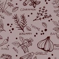 Seamless vintage pattern hand drawn herbs Royalty Free Stock Photo