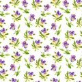 Seamless vintage pattern with retro botanical violet viola flowers