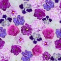 Seamless violets floral pattern Royalty Free Stock Photo