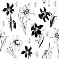 Seamless wallpaper of botanica flowers close-up. primrose flowers in the style of realism draw. modern sketch, design template,