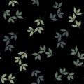 Seamless wallpaper from branches, leaves with burgundy berries, plants from leaves and cherries on a black background for your Royalty Free Stock Photo