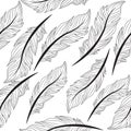 Seamless wallpaper feathers patern, texture, endless background, vector illustration