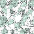 Seamless Wallpaper. Grapevine seamless pattern Royalty Free Stock Photo