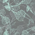 Seamless Wallpaper. Grapevine seamless pattern Royalty Free Stock Photo