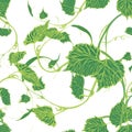Seamless Wallpaper. Grapevine seamless pattern Royalty Free Stock Photo