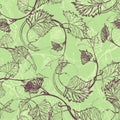 Seamless Wallpaper. Grapevine seamless pattern Royalty Free Stock Photo