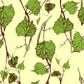 Seamless Wallpaper. Grapevine seamless pattern Royalty Free Stock Photo