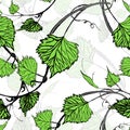 Seamless Wallpaper. Grapevine seamless pattern Royalty Free Stock Photo