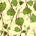 Seamless Wallpaper. Grapevine seamless pattern Royalty Free Stock Photo